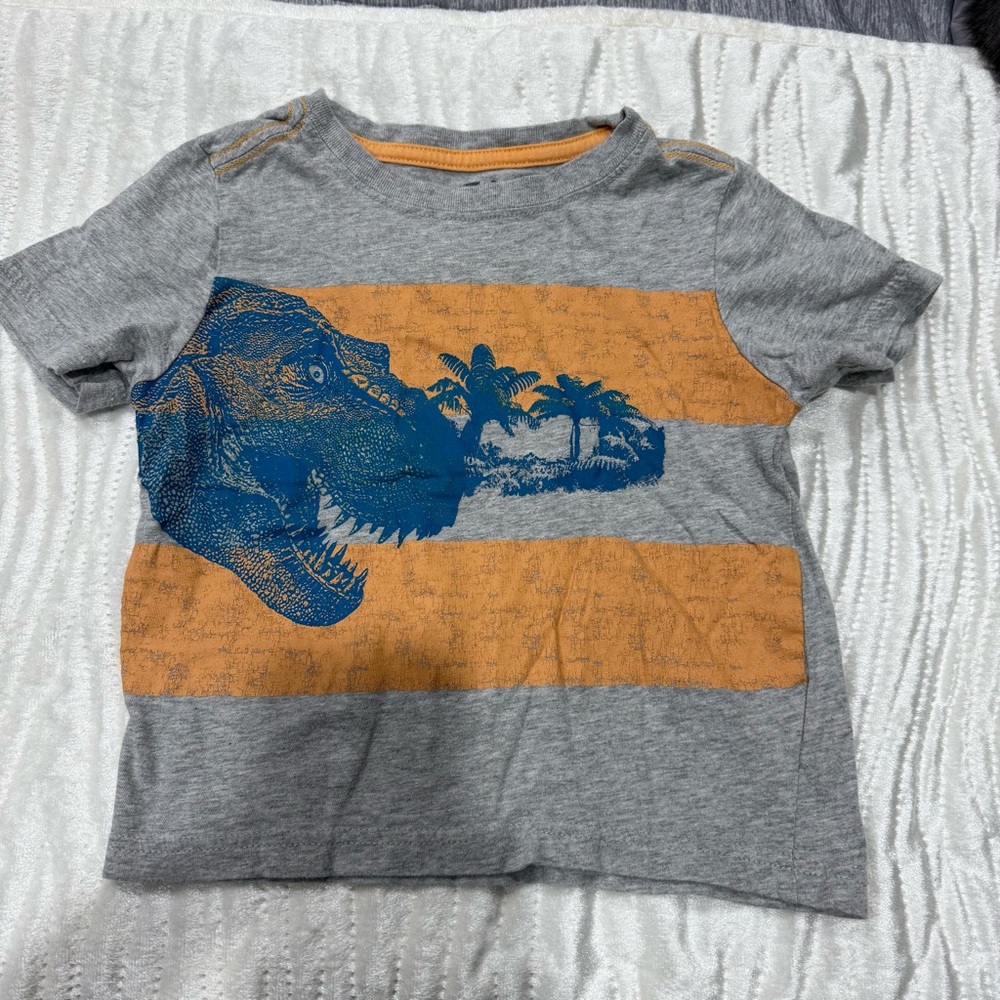 10 for $10 Crazy 8 Gray and Blue dinosaur tee